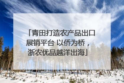 青田打造农产品出口展销平台 以侨为桥，浙农优品越洋出海