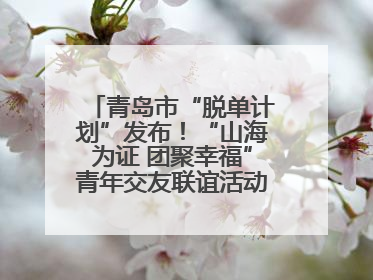 青岛市“脱单计划”发布！“山海为证 团聚幸福”青年交友联谊活动浪漫开启