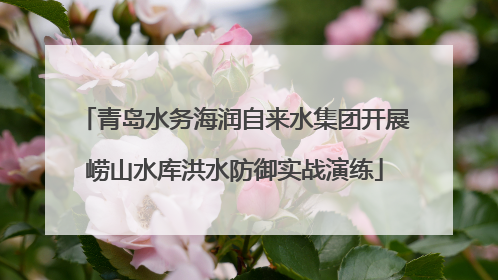青岛水务海润自来水集团开展崂山水库洪水防御实战演练