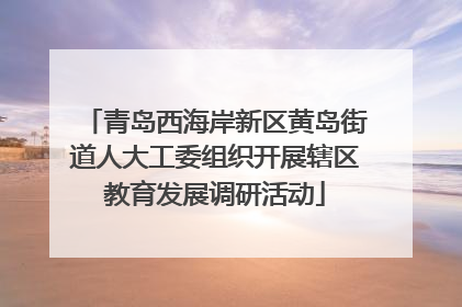 青岛西海岸新区黄岛街道人大工委组织开展辖区教育发展调研活动