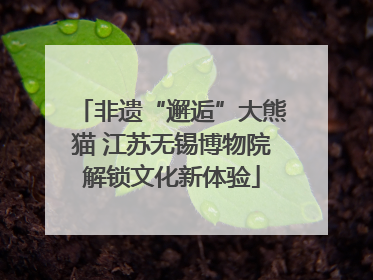 非遗“邂逅”大熊猫 江苏无锡博物院解锁文化新体验