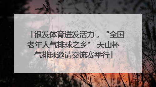 银发体育迸发活力，“全国老年人气排球之乡” 天山杯气排球邀请交流赛举行