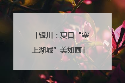 银川：夏日“塞上湖城”美如画