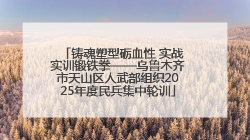 铸魂塑型砺血性 实战实训锻铁拳——乌鲁木齐市天山区人武部组织2025年度民兵集中轮训