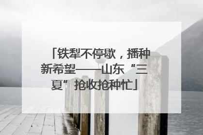 铁犁不停歇，播种新希望——山东“三夏”抢收抢种忙