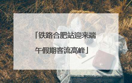 铁路合肥站迎来端午假期客流高峰