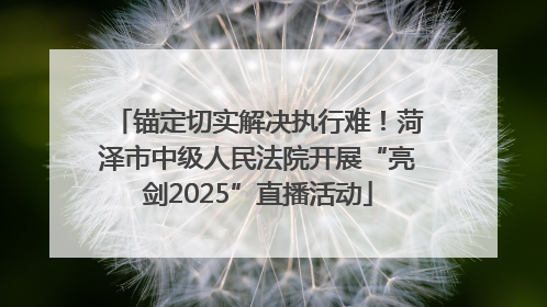 锚定切实解决执行难！菏泽市中级人民法院开展“亮剑2025”直播活动