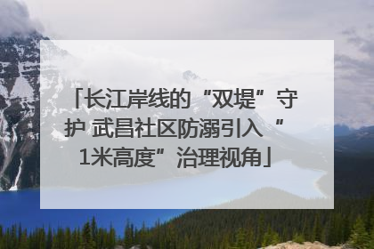 长江岸线的“双堤”守护 武昌社区防溺引入“1米高度”治理视角
