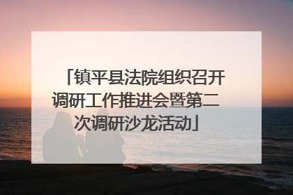 镇平县法院组织召开调研工作推进会暨第二次调研沙龙活动