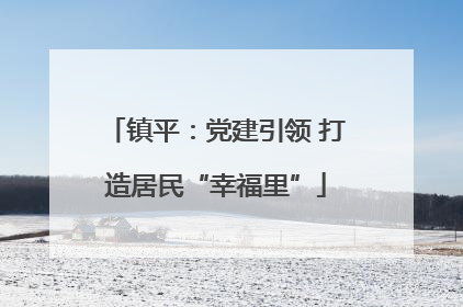 镇平：党建引领 打造居民“幸福里”
