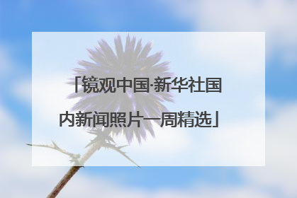 镜观中国·新华社国内新闻照片一周精选