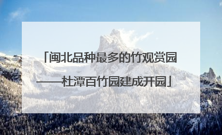 闽北品种最多的竹观赏园——杜潭百竹园建成开园
