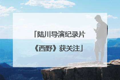 陆川导演纪录片《西野》获关注