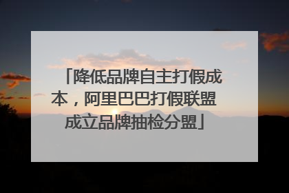 降低品牌自主打假成本，阿里巴巴打假联盟成立品牌抽检分盟