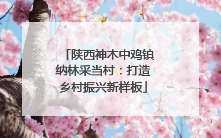 陕西神木中鸡镇纳林采当村：打造乡村振兴新样板