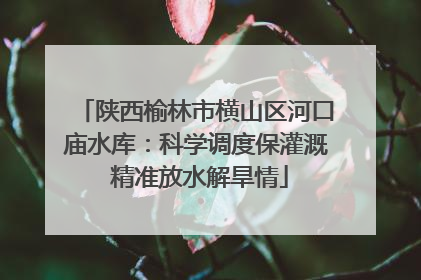 陕西榆林市横山区河口庙水库：科学调度保灌溉 精准放水解旱情