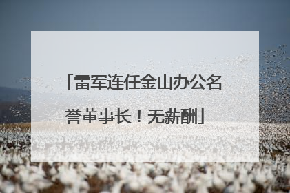 雷军连任金山办公名誉董事长！无薪酬