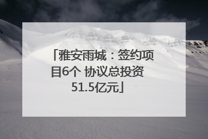 雅安雨城：签约项目6个 协议总投资51.5亿元