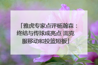 雅虎专家点评杨瀚森：终结与传球成亮点 需克服移动和投篮短板
