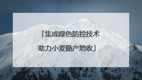 集成绿色防控技术助力小麦稳产增收