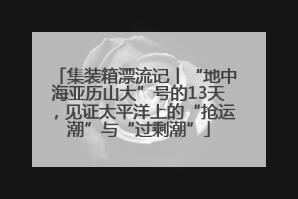 集装箱漂流记丨“地中海亚历山大”号的13天，见证太平洋上的“抢运潮”与“过剩潮”