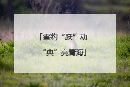 雪豹“跃”动 “典”亮青海