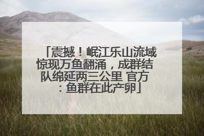 震撼！岷江乐山流域惊现万鱼翻涌，成群结队绵延两三公里 官方：鱼群在此产卵