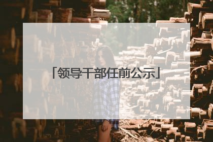 领导干部任前公示