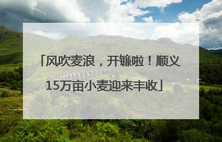 风吹麦浪，开镰啦！顺义15万亩小麦迎来丰收