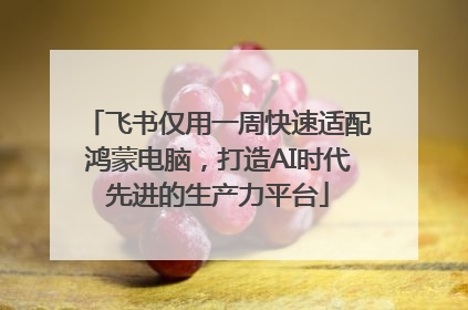 飞书仅用一周快速适配鸿蒙电脑，打造AI时代先进的生产力平台
