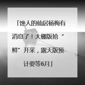 馋人的仙居杨梅有消息了！大棚版抢“鲜”开采，露天版预计要等6月