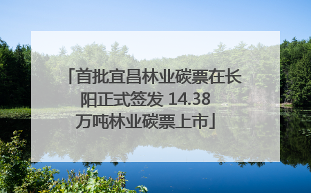 首批宜昌林业碳票在长阳正式签发 14.38万吨林业碳票上市