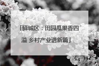 驿城区：田园瓜果香四溢 乡村产业谱新篇
