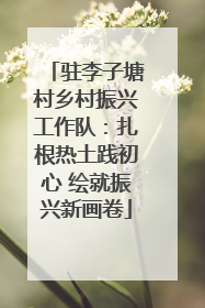 驻李子塘村乡村振兴工作队：扎根热土践初心 绘就振兴新画卷