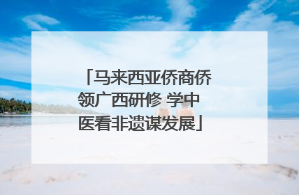 马来西亚侨商侨领广西研修 学中医看非遗谋发展