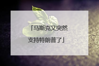 马斯克又突然支持特朗普了