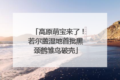 高原萌宝来了！若尔盖湿地首批黑颈鹤雏鸟破壳