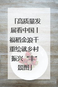 高质量发展看中国丨福稻金浪千重绘就乡村振兴“丰”景图
