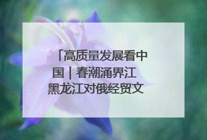 高质量发展看中国｜春潮涌界江 黑龙江对俄经贸文旅交流绿意盎然