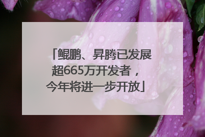 鲲鹏、昇腾已发展超665万开发者，今年将进一步开放