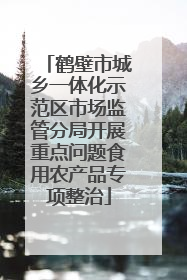 鹤壁市城乡一体化示范区市场监管分局开展重点问题食用农产品专项整治