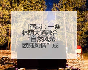 鹤岗：一条林荫大道融合“自然风光＋欧陆风情”成热门打卡地