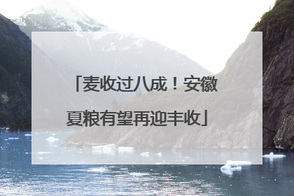 麦收过八成！安徽夏粮有望再迎丰收
