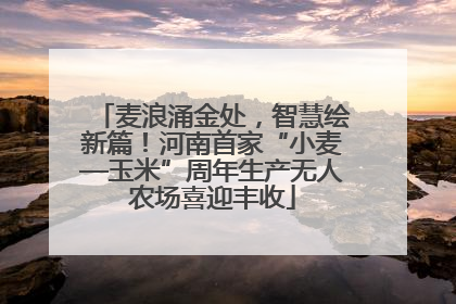 麦浪涌金处，智慧绘新篇！河南首家“小麦—玉米”周年生产无人农场喜迎丰收