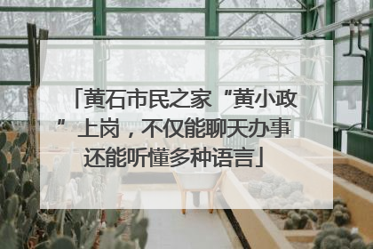 黄石市民之家“黄小政”上岗，不仅能聊天办事还能听懂多种语言