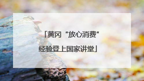 黄冈“放心消费”经验登上国家讲堂