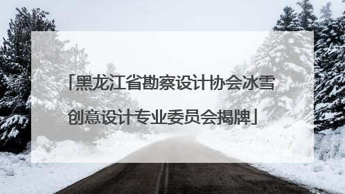 黑龙江省勘察设计协会冰雪创意设计专业委员会揭牌