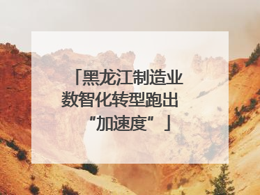 黑龙江制造业数智化转型跑出“加速度”