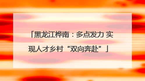 黑龙江桦南：多点发力 实现人才乡村“双向奔赴”