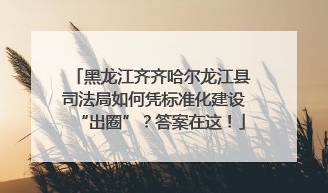 黑龙江齐齐哈尔龙江县司法局如何凭标准化建设“出圈”？答案在这！